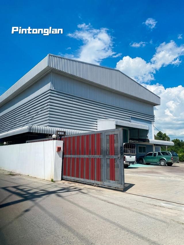 ที่ดินเปล่าปิ่นทองแลนด์ 10