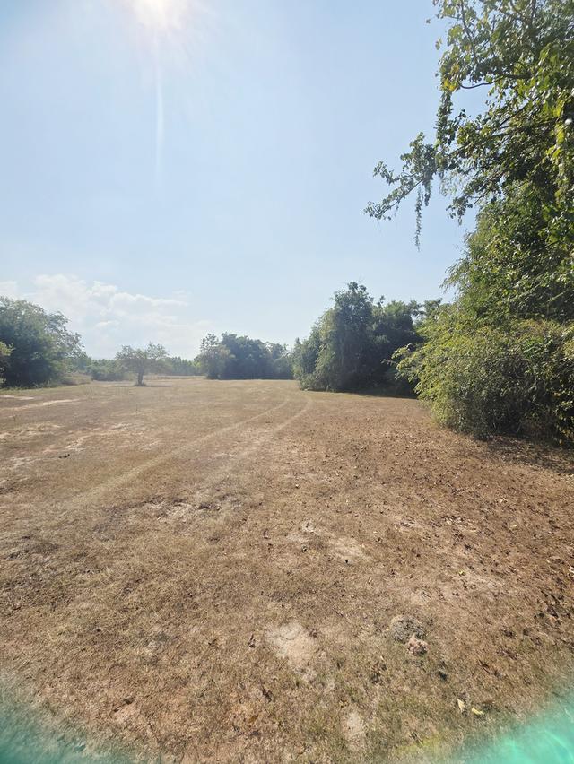 ที่ดินเปล่า ทำสวนทำนาได้ 5ไร่ 3