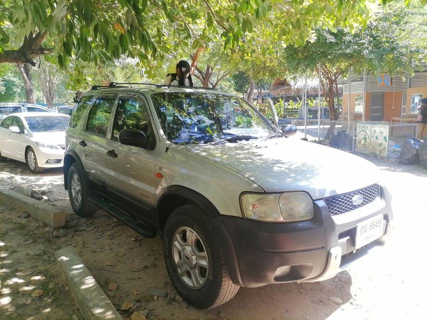 Ford Escape ปี 2004 รถยนต์มือสองสภาพดี 3