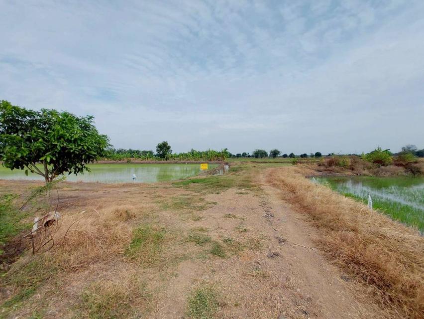 ขายที่ดินเปล่า ซอยเพิ่มสุข 2 ตำบลคลองควาย อำเภอสามโคก จังหวัดปทุมธานี 2