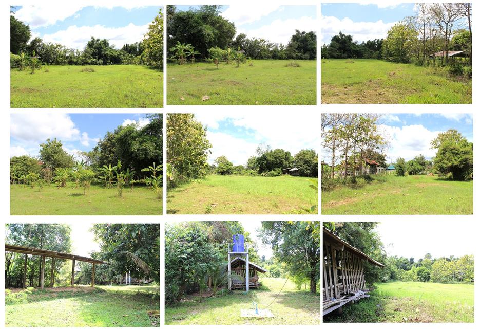 ชายด่วน บ้านพร้อมที่ดิน 4 ไร่ รายละเอียดตามไฟล์แนบ 8