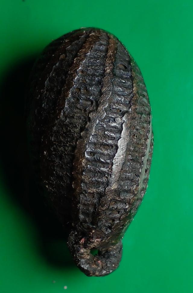 s หมากทุย หลวงปู่เอี่ยม วัดสะพานสูง รูปที่ 2