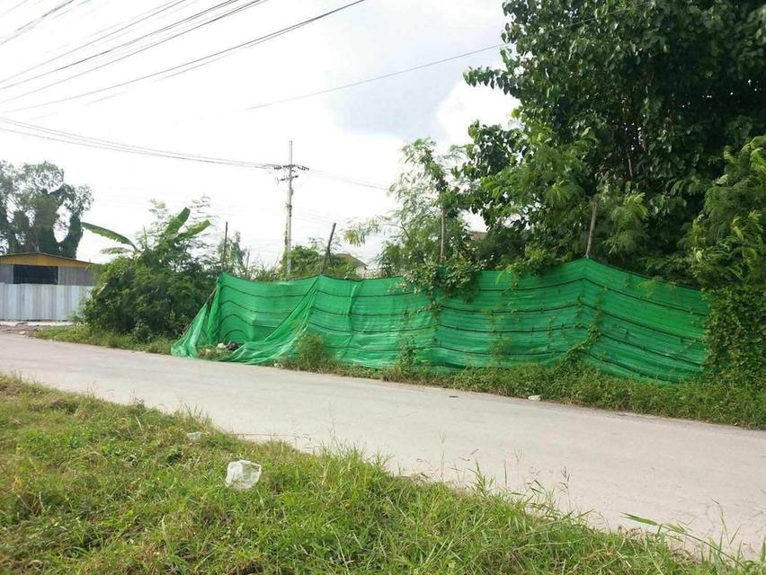 ขายด่วนที่ดินใกล้ซีคอนสแควร์ 462 ตรว ติดถนนคอนกรีตสาธารณะ แปลงมุม ถ.พัฒนาการตัดใหม่ ซอย 94 ประเวศ กทม. 2