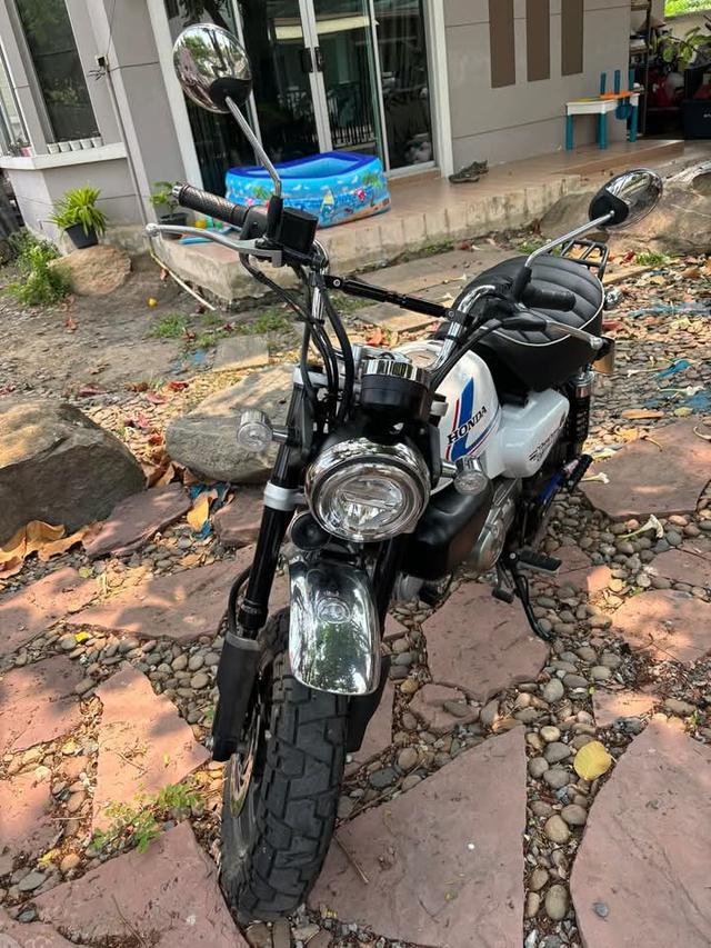 ขายด่วนมอเตอร์ไซค์ Honda Monkey 2