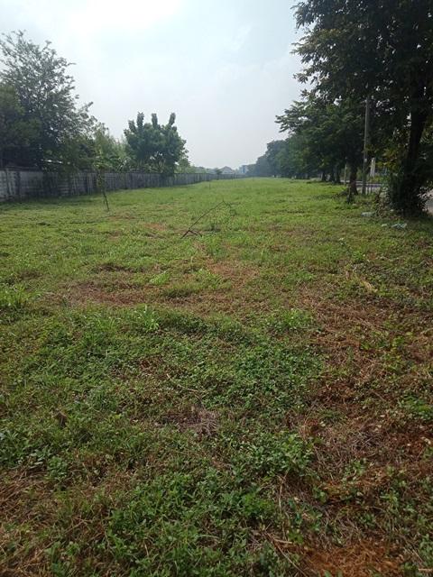 ขายที่ดินแบ่งแปลง ติดถนนรามคำแหง ซอย 150 7