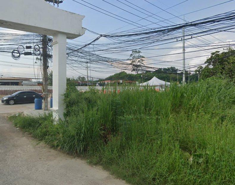 ขายที่ดินบางเสร่ทำเลดี 144 ตรว. ถมแล้วติดถนนเส้นสุขุมวิท3 ใกล้ตลาดปลาบางเสร่2กม. อ.สัตหีบ จ.ชลบุรี 5