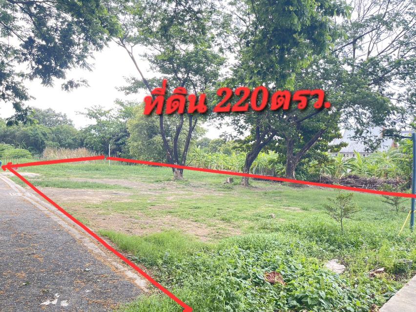 ที่ดินเปล่า 220ตรว. ริมคลองทวีวัฒนา กรุงเทพ 10