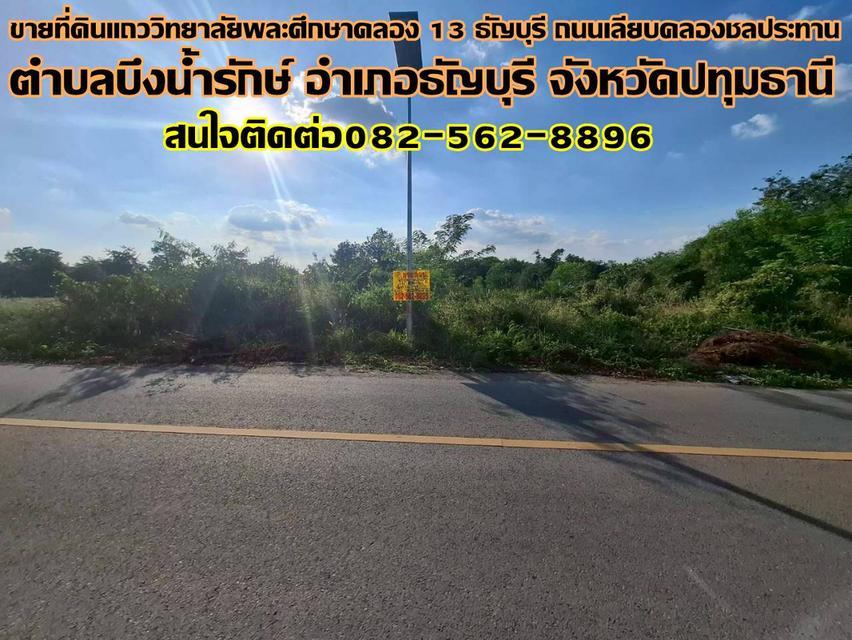 ขายที่ดินแถววิทยาลัยพละศึกษาคลอง 13 ธัญบุรี ถนนเลียบคลองชลประทาน 1