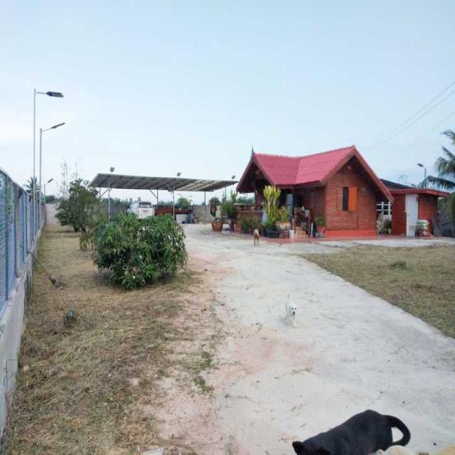 รูป ขาย ที่ดิน 273 ตร.วา พร้อมบ้านไม้สักทรงไทย 1 หลัง และ ห้องเช่า 5 ห้อง ชะอำ เพชรบุรี ห่าง ถ. เพชรเกษม เพียง 1.2 กม. 3