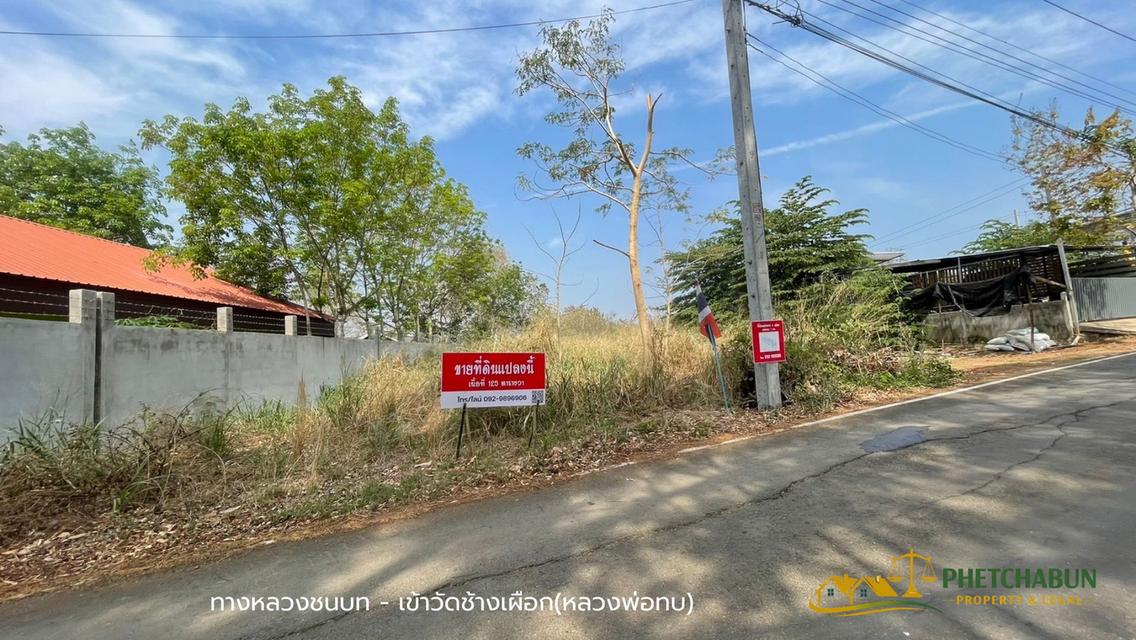 ที่ดินเงิน125 ตารางวา ติด อบต.วังชมภู อ.เมือง จ.เพชรบูรณ์ 4