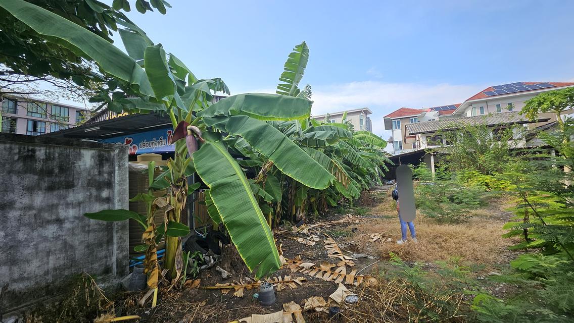 ขายที่ดินรามอินทราซ.21 7