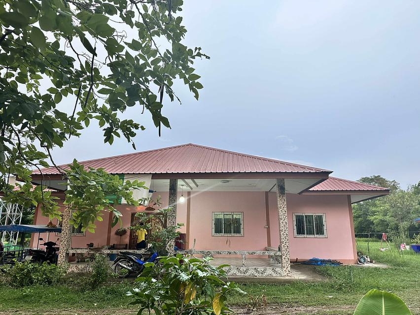 ที่ดินพร้อมอสังหา 9 ไร่ 1 งาน 8 ตารางวา 7