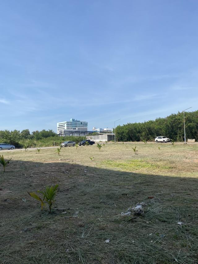 ขายที่ดิน ใกล้โรงพยาบาลศูนย์มะเร็ง ชลบุรี ติดถนน 2 ฝั่ง 2