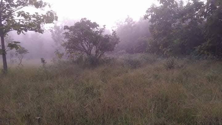 ที่รอออกเอกสารสิทธิ์7ไร่1งาน72ตารางวายกแปลง 220,000บาท​ ล้อมรั้วลวดหนามเรียบร้อย ติดถนนสาธารณะ 2ด้าน  มีต้นลำใยต้นมะม่วง ไผ่ มะพร้าว ต้นสัก ต้นมะขาม 8