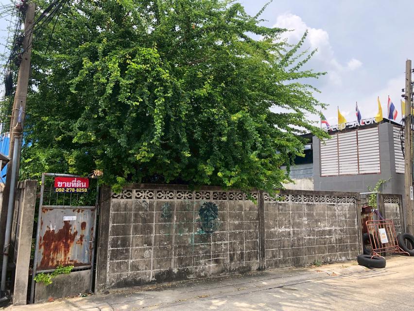 ขายที่ดิน 25 ตร.ว. ซอยคลังมนตรีแยก1 ประชาชื่น จตุจักร 4