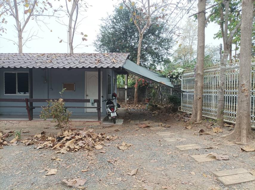 ขายที่ดินพร้อมสิ่งปลูกสร้าง ต.เชิงดอย อ.ดอยสะเก็ด จ.เชียงใหม่ 10