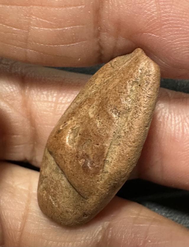 พระพิจิตร พระมีปีก กรุวัดพระศรีมหาธาตุ จ.พิจิตร เนื้อดิน ผิวเดิม พระกรุเนื้อดินผสมว่าน สร้างในสมัยสุโขทัย รูปที่ 3