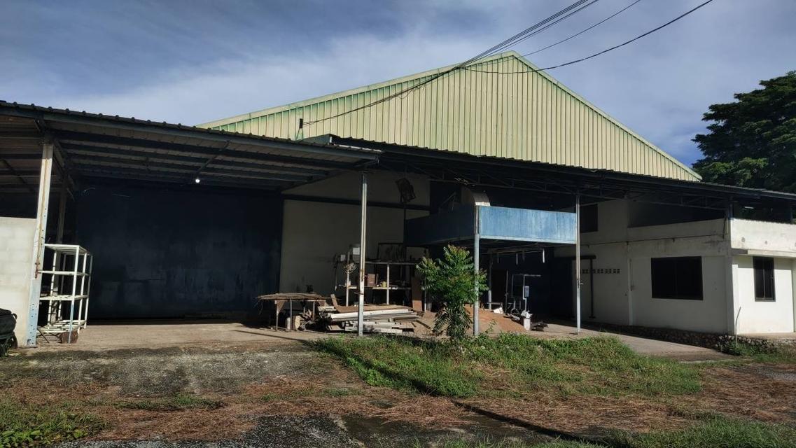 🌳 [ขายด่วน/急售] ที่ดินทองคำ บ้านโป่ง ราชบุรี (550K/ไร่) ติดถนนลาดยาง 3 ด้าน | น้ำไม่ท่วม 100% | เหมาะทำเกษตร โรงงาน และ Wellness Center 12