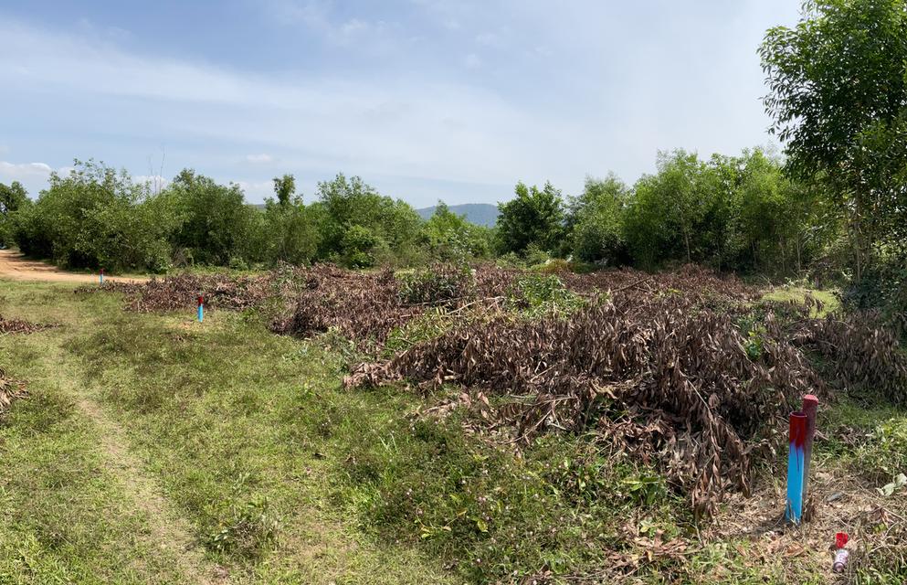 ขายที่ดิน 4 ห้อง คลองแห หาดใหญ่ 5