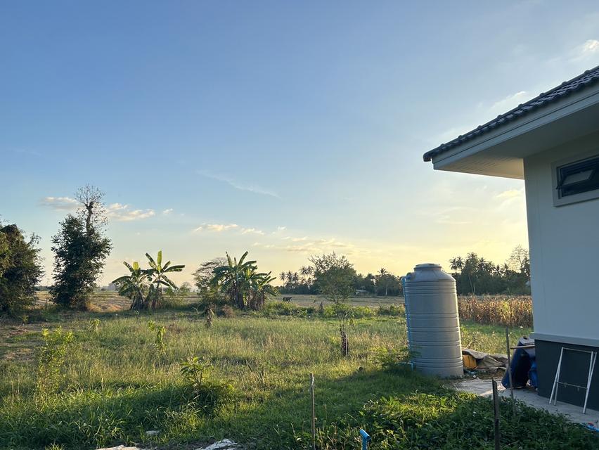 บ้านชั้นเดียว เนื้อที่ 1 ไร่ 7