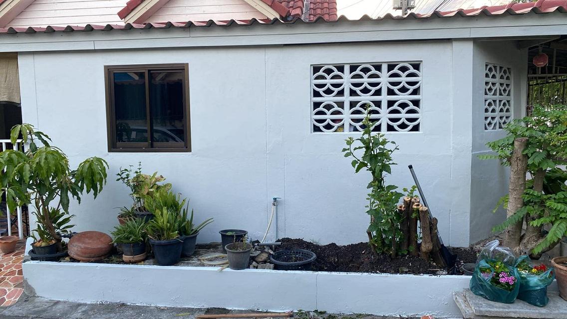 บ้านทาวน์เฮ้าส์หลังริม 31 ตารางวา 2