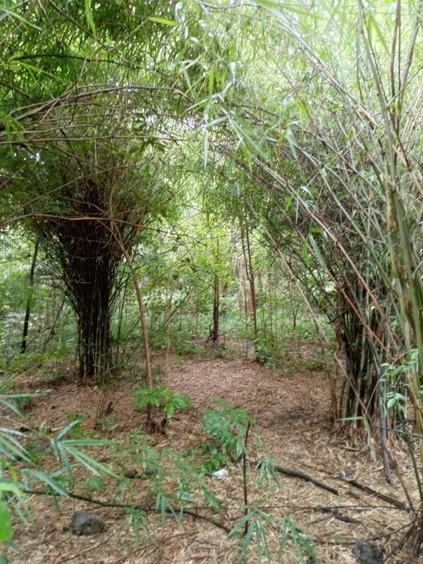 ขายด่วน! ที่ดินเปล่า ทำเลดี ใกล้เมืองนครสวรรค์ เนื้อที่ 160 ตร.ว. โทร 092-6869618 7