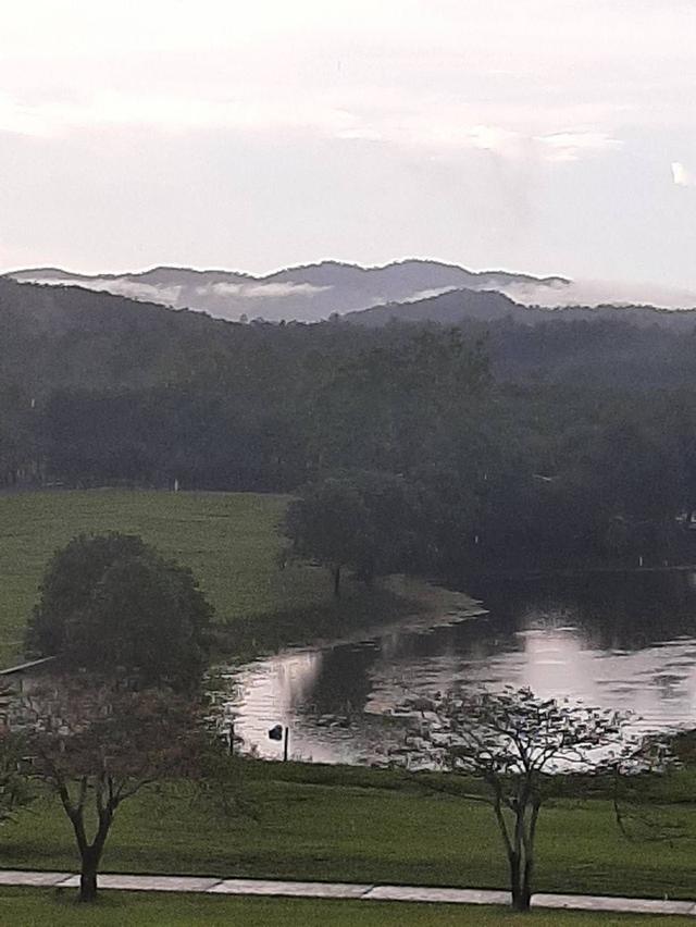 ที่ดินเชียงราย165ไร่ 2