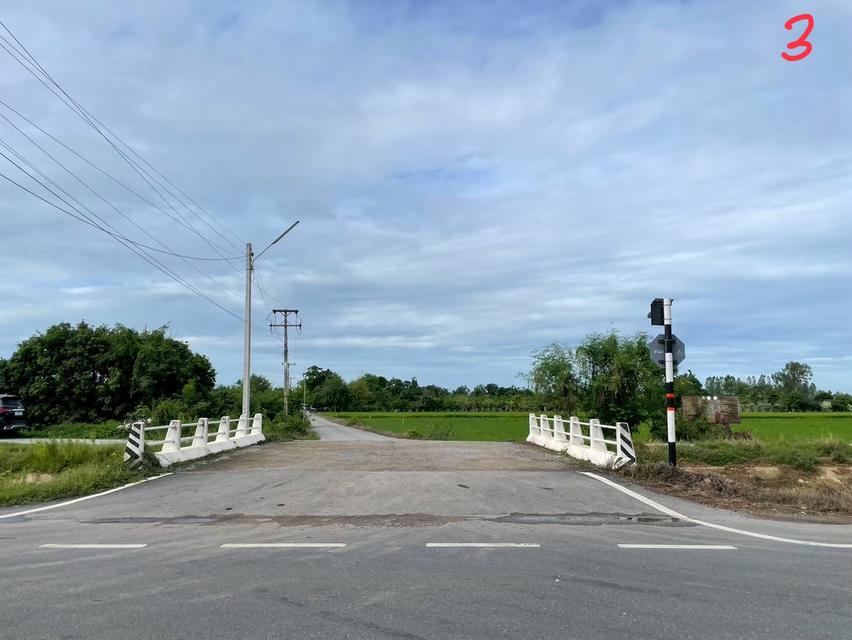 ขายด่วนที่ดินแปลงสวย 10 ไร่ 7