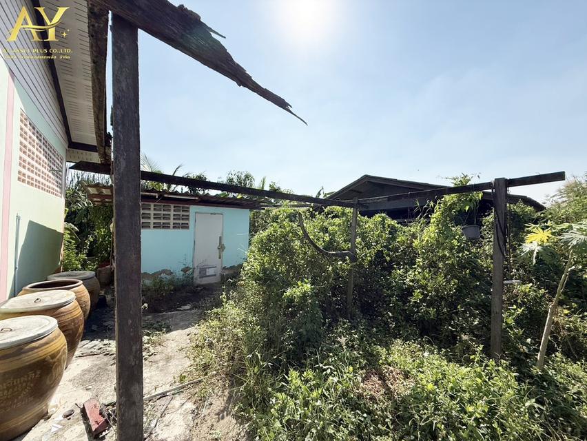 ขายที่ดิน ติดถนนทับยาว 765ตรว.พร้อมสิ่งปลูกสร้าง 14