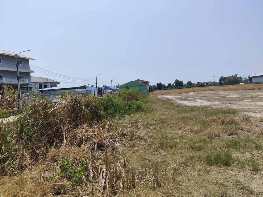 ที่ดิน ซอยสร้อยทอง ประชาอุทิศ90 4