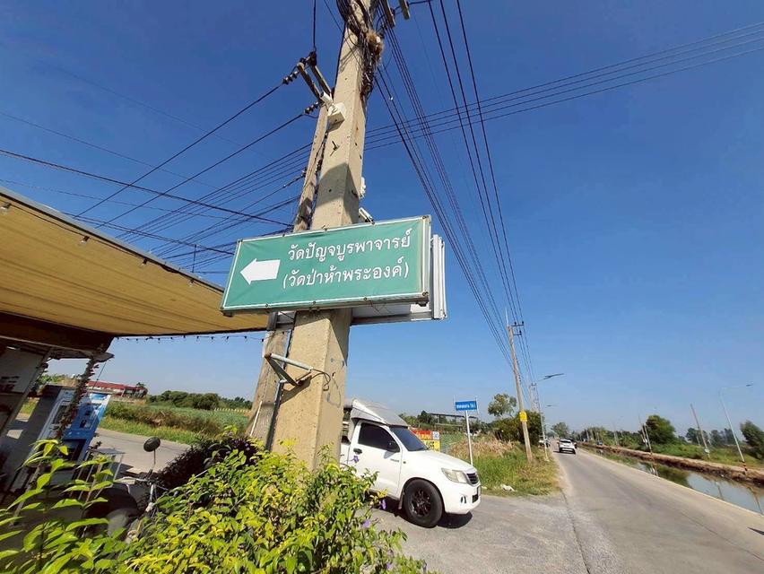 Vายที่ดินซอยวัดป่าห้าพระองค์ 200 ตารางวา แปลงมุม ติดถนนคลองเเอนคลองสาม 5/4-1 อ.คลองหลวง จ.ปทุมธานี 3