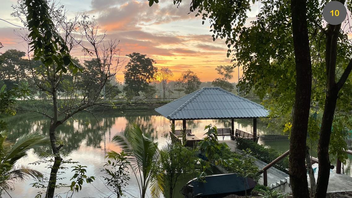 ที่ดินพร้อมสิ่งปลูกสร้าง 9