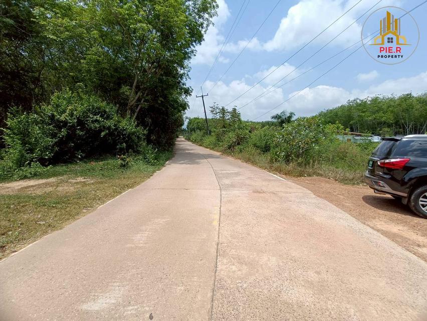 ลงทุนเพื่ออนาคต! ที่ดิน41-369ไร่ อ.เมืองระยอง l ใกล้ถ.สุขุมวิท(เดินทางเชื่อมต่อไปตัวเมืองระยองสะดวก) 3