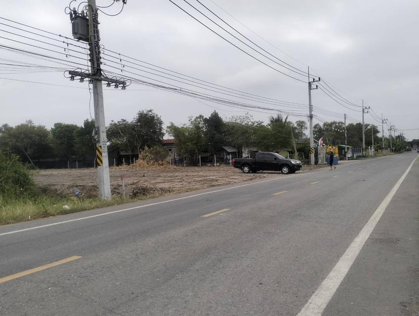 ขายที่ดิน1ไร่ถนนเชียงรากน้อย อ.บางปะอิน จ.พระนครศรีอยุธยา 6