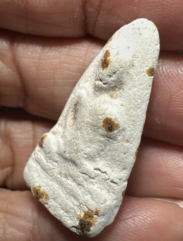 องค์ละ900🙏พระผงรูปเหมือน ล.ป.เผือก วัดกิ่งแก้ว รูปที่ 9