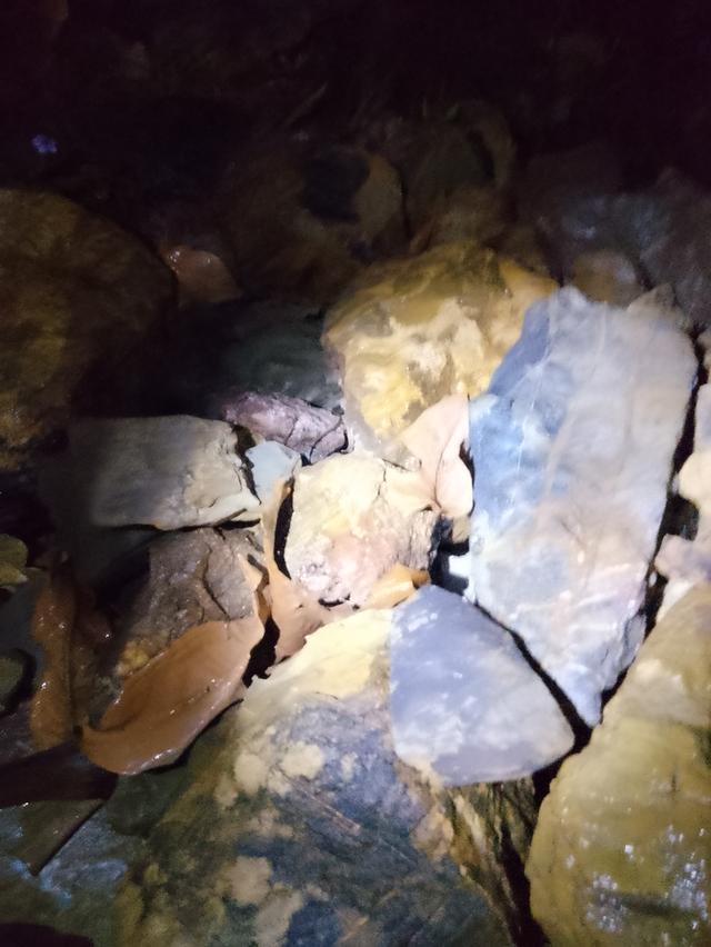 หินแร่ทองคำ หินควอตซ์ หินทองคำดิบ รูปที่ 14