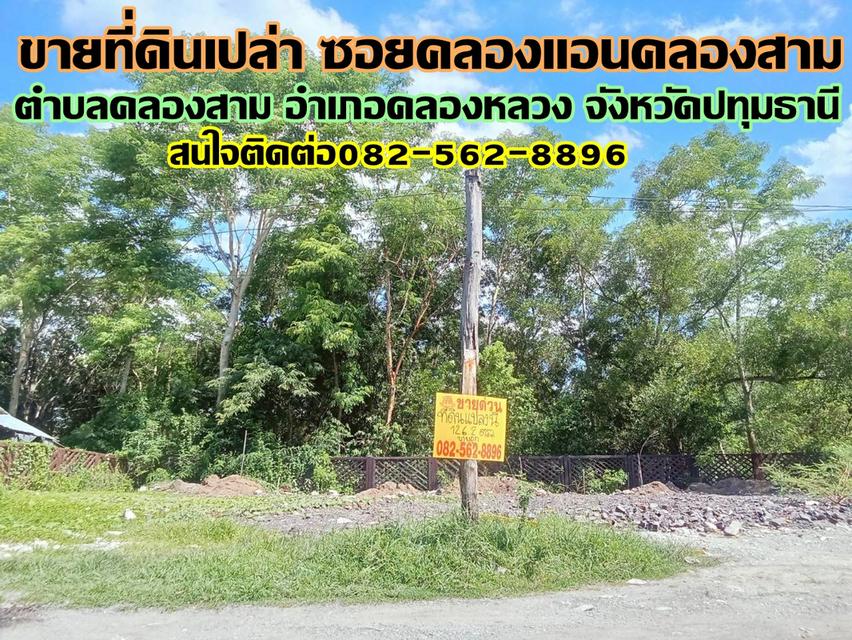 ขายที่ดินเปล่า ซอยคลองแอนคลองสาม คลองหลวง 1
