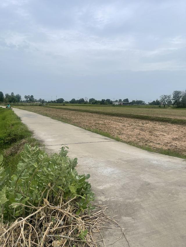 ทึ่ดินเปล่าติดถนนใหญ่ 12
