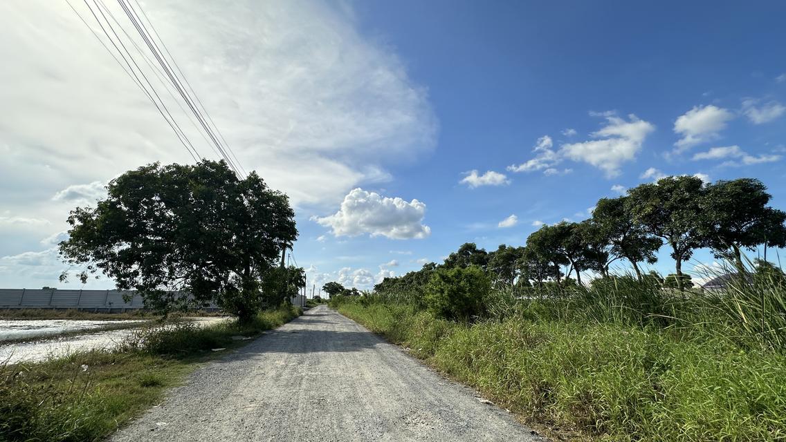 ขายที่ดิน เนื้อที่ 23-1-96 ไร่ ถนนสารีบุตร แขวงทับยาว เขตลาดกระบัง กทม. 9