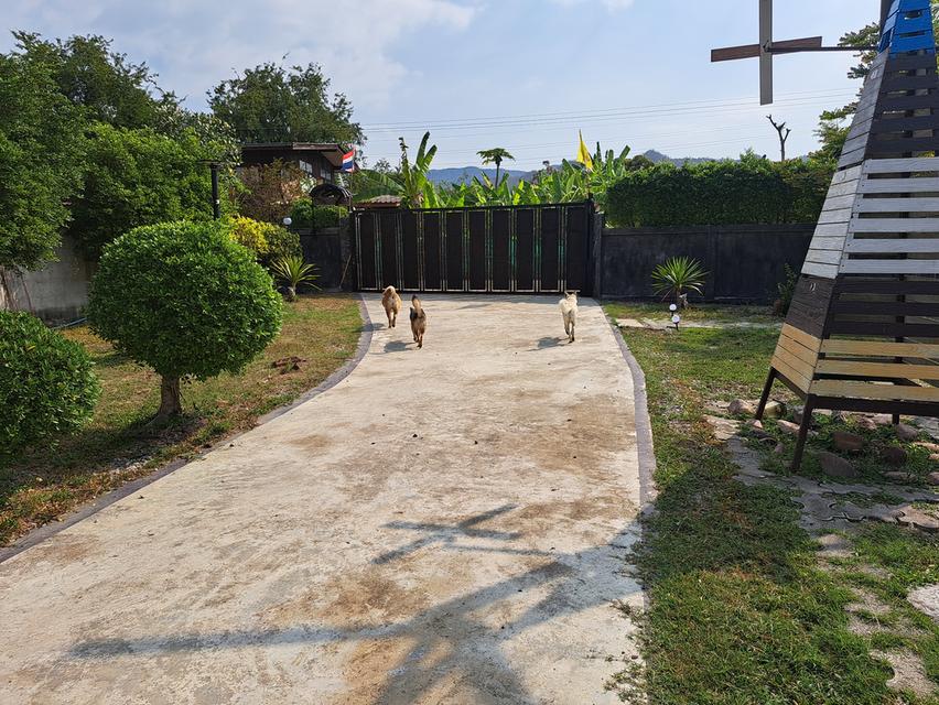 บ้านเรือนไทยสวนผลไม้รีสอร์ทส่วนตัว 18