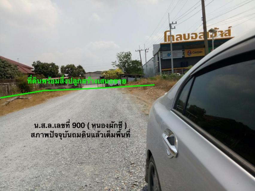 ขายคลังสินค้า 13 ไร่ ถนนสายเอเชีย เมืองพระนครศรีอยุธยา 098 7755 808 2