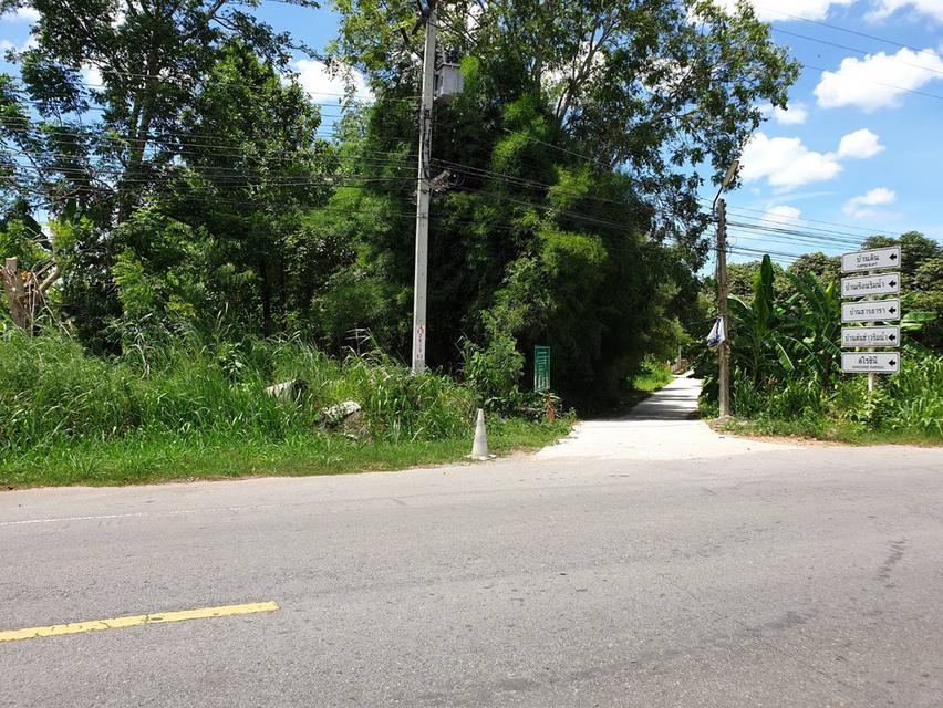 ขายที่ดินเปล่า สวนผึ้ง  เนื้อที่ 1 ไร่ - 3 งาน - 53 ตารางวา 4