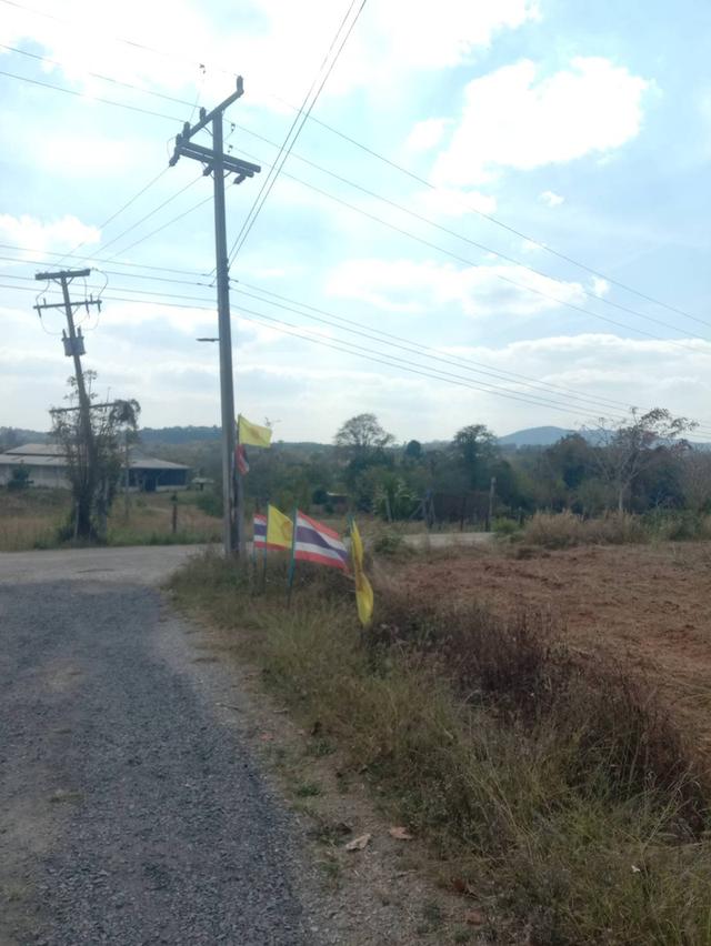 ที่ดินเปล่า มีหลายไร่ แบ่งขาย 1 ไร่ 6 แสน บ้านศิลางาม  วังน้ำเขียว รูปย่อยที่ 2