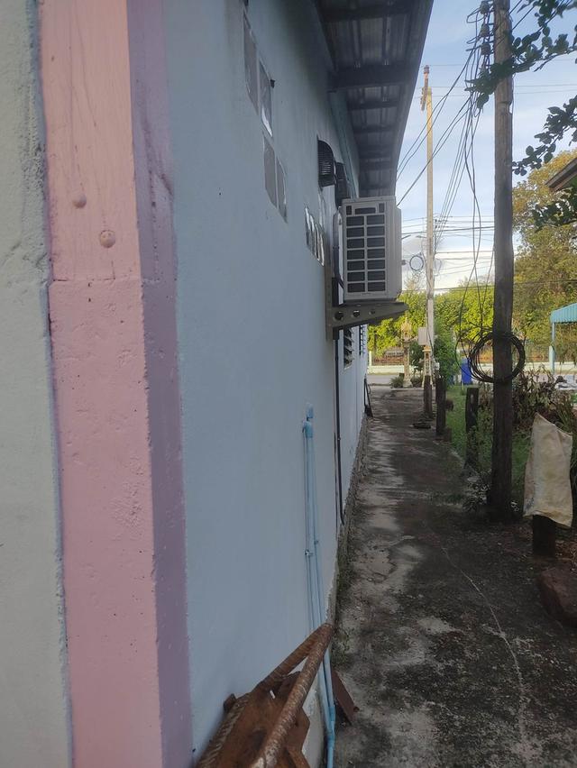 ขายบ้านพร้อมกิจการ ขนส่ง ถ่ายเอกสาร ฯลฯ และโรงสี บ้าน 3ห้องนอน 2 ห้องน้ำ ออฟฟิต ห้องโถง ครัว เป็นที่ดิน สองแปลง บ้าน 250ตารางวา โรงสี 275 ตารางวา ขาวร 8