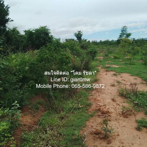 พื้นที่ดิน บ.ทุ่งเคล็ด ต.วังจันทร์ อ.แก่งกระจาน จ.เพชรบุรี 7700000 บาท ใกล้กับ ห่างทางหลวงหมายลข 3501 ประมาณ 800 ม. และห