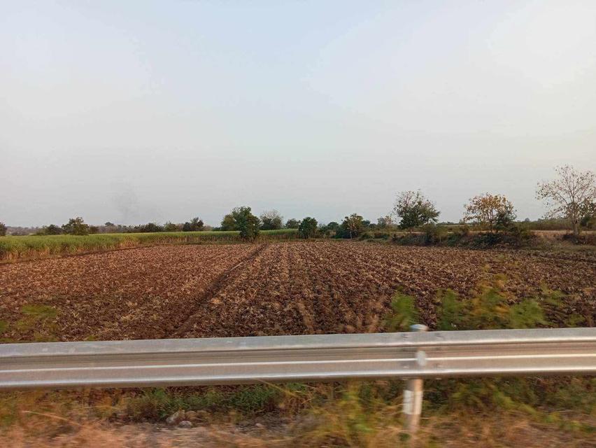 อสังหาริมทรัพย์ ที่ดิน 6