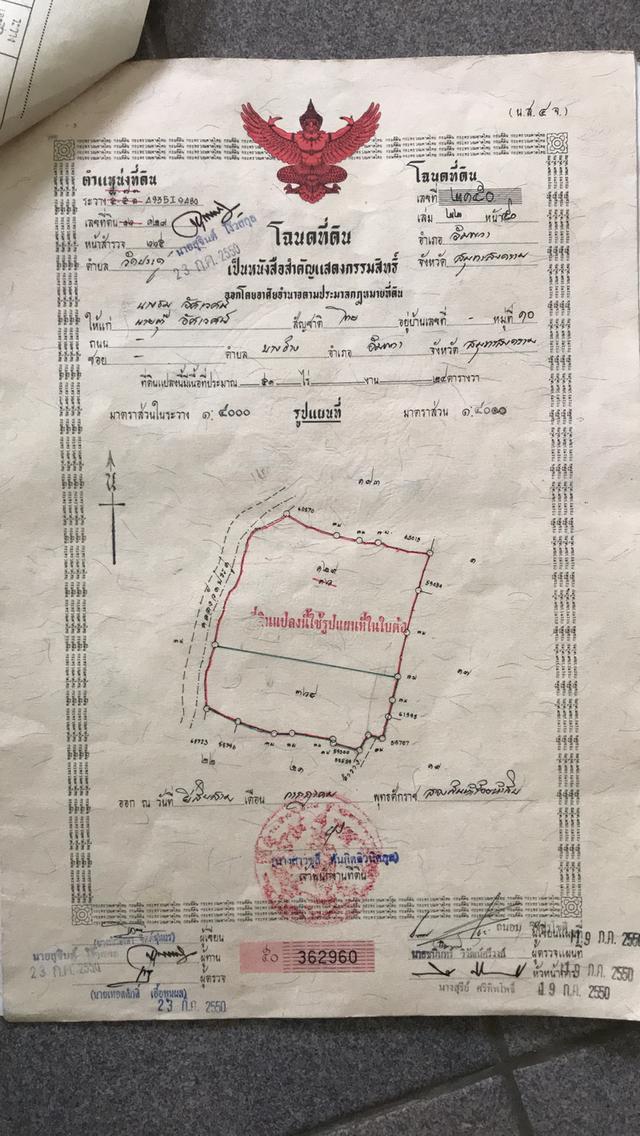 ที่ดิน พร้อม ต้นมะพร้าวแกง ส้มโอขาวใหญ่ จำนวน 35ไร่ 1