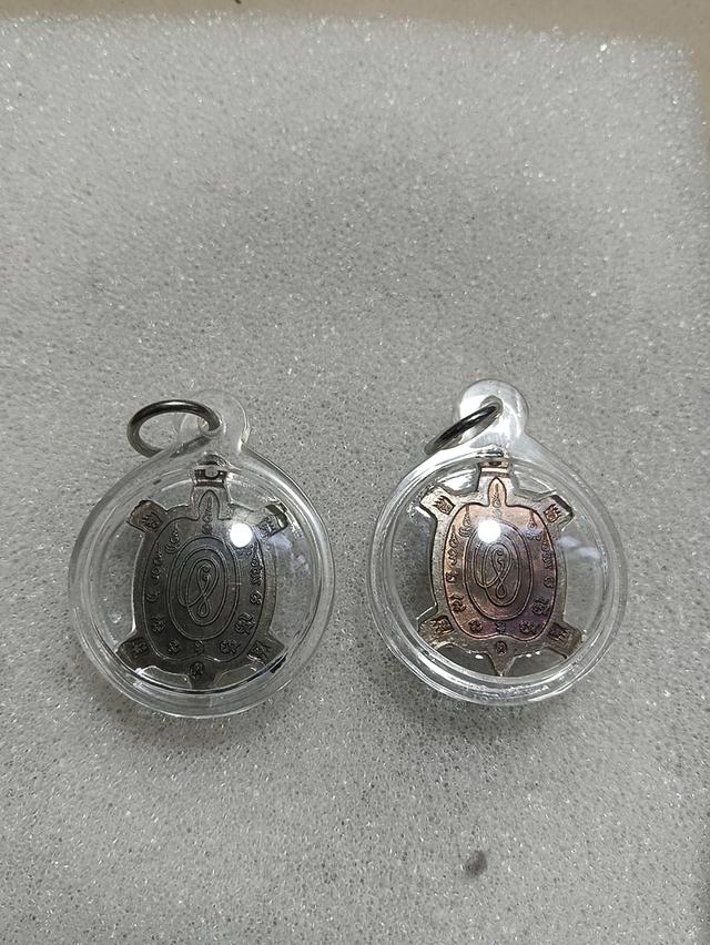 เต่าขวัญใจมหาชนหลวงปู่หลิว รูปที่ 3