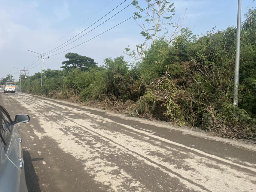 ขายที่ดินเปล่า 1 ไร่ ใกล้ตลาด อ.อุทัย 7