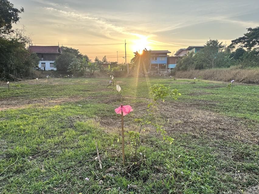ขายที่ดิน 1 ไร่  950,000.- บาท อ.เมือง  พระนครศรีอยุธยา 3